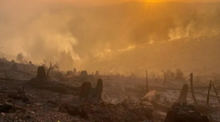 Washington's Creek Fire swells to 2,000 acres