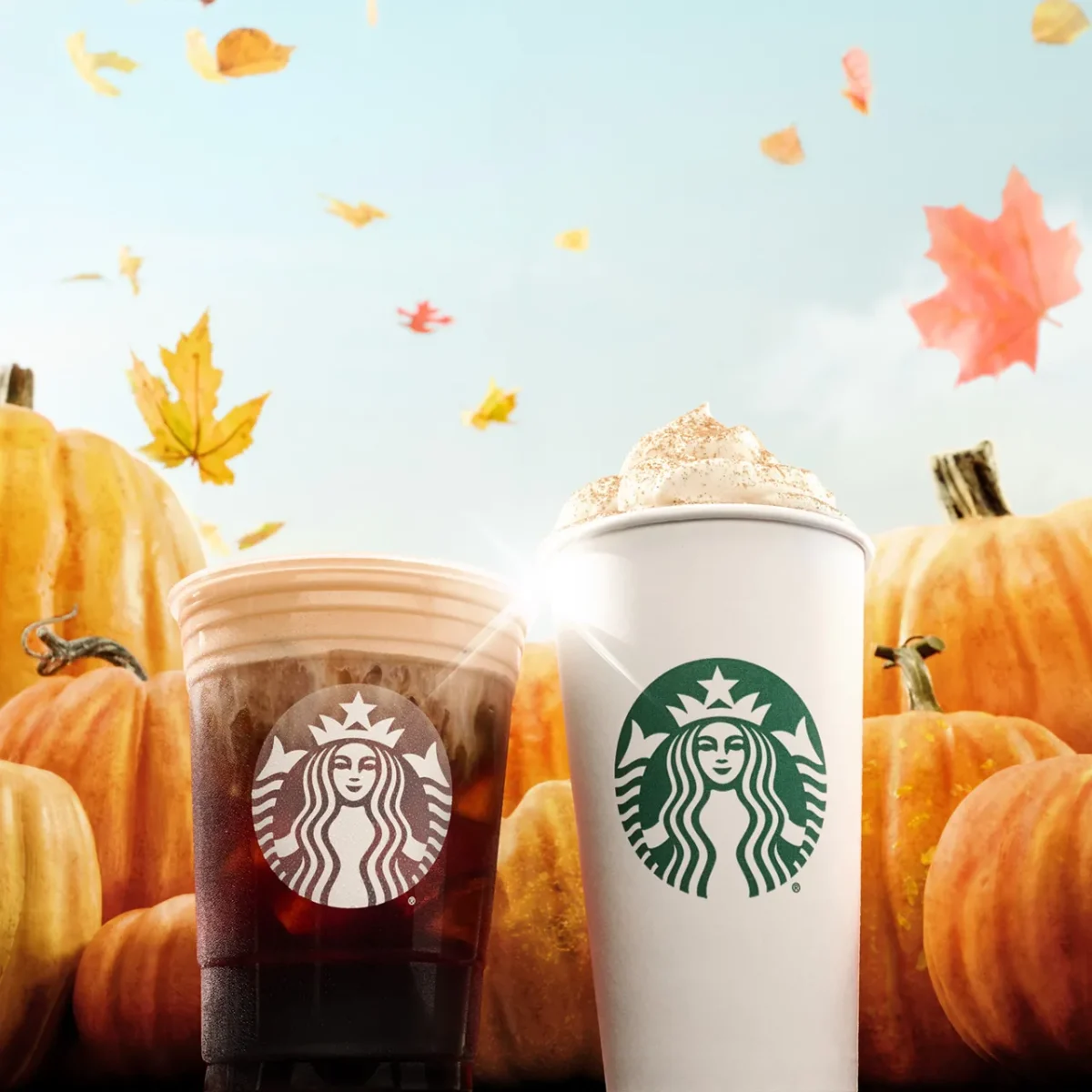 The Pumpkin Spice Latte is Back!