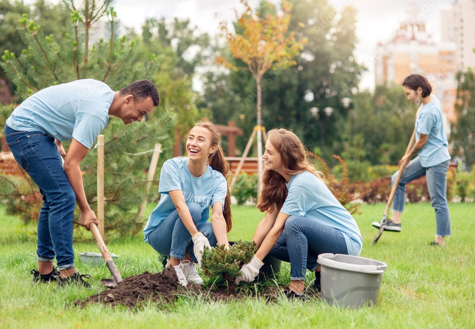Places You Could Volunteer at for NHS or AVID