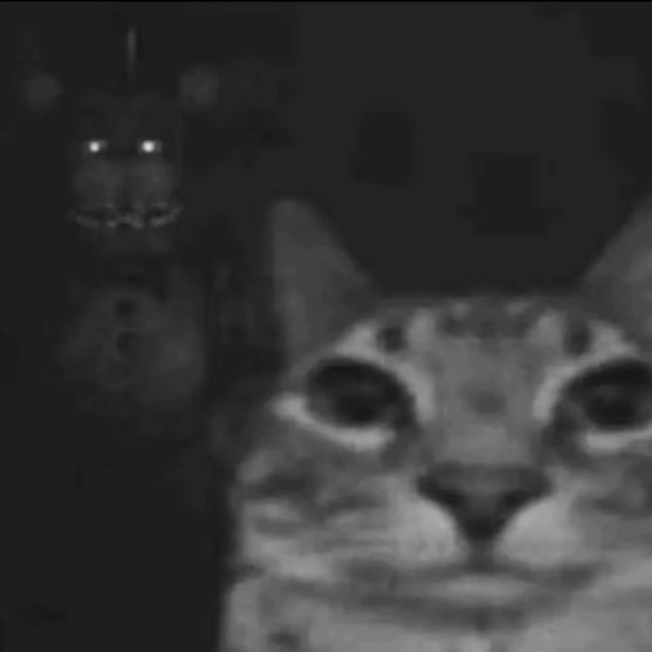 Cryptids of the Midwest