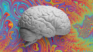 brainwisemedia.com, "Can Psychedelics help treat PTSD?"